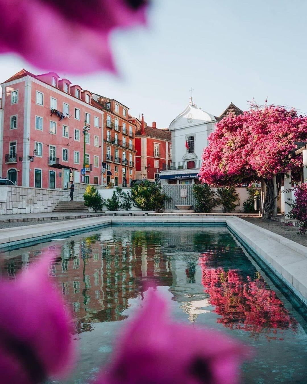 Alfama Historical Apartment 3 Bedroom Duplex 리스본 외부 사진